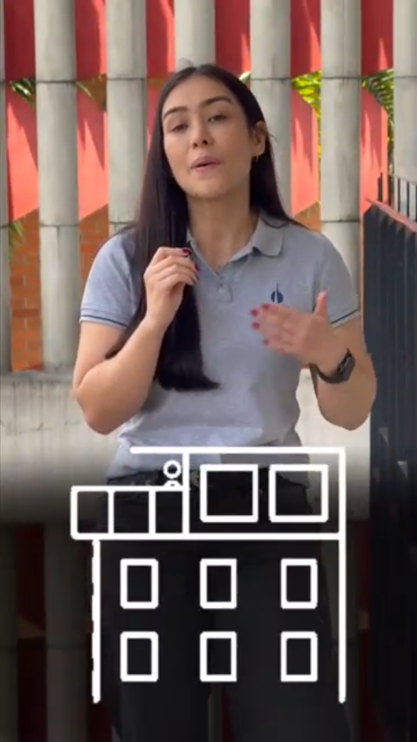 Pega pañete